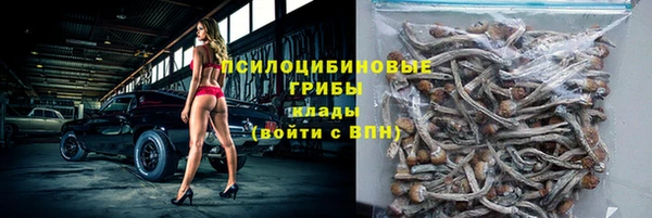 молекула духа Лихославль